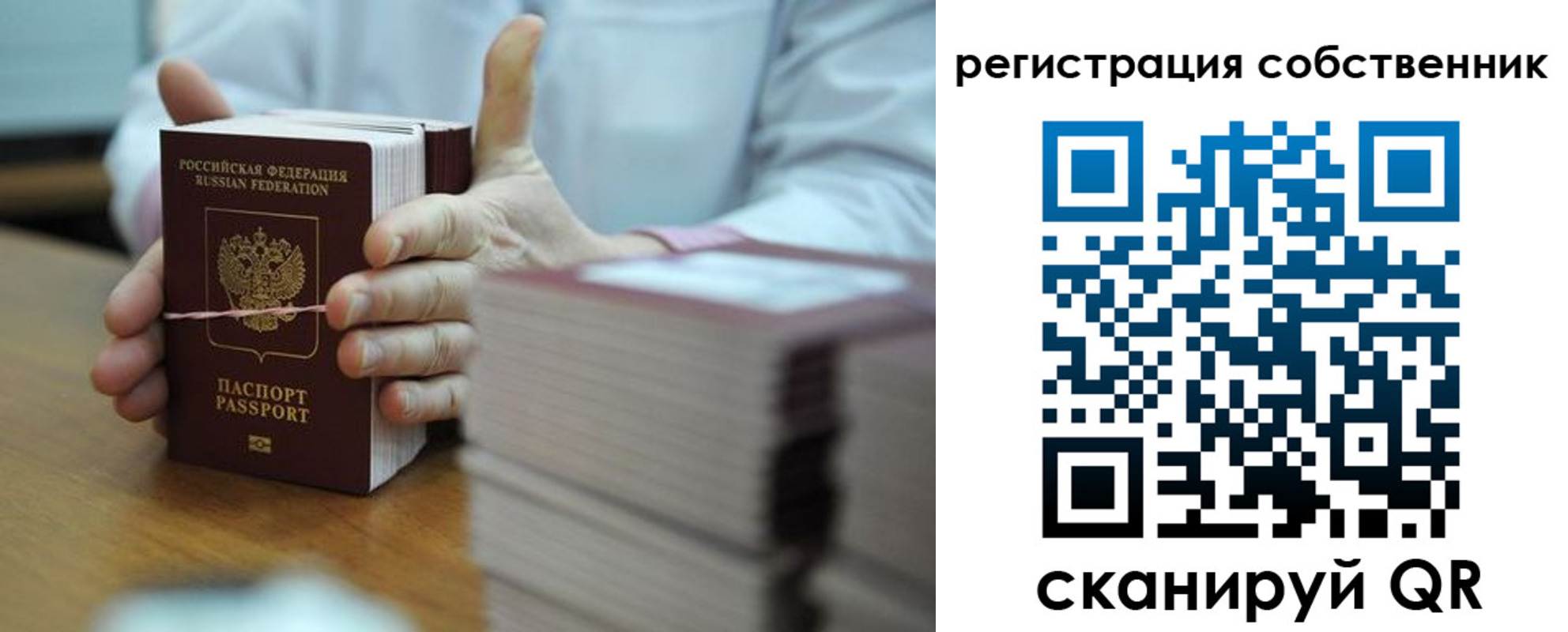 временная регистрация гарантия в Московской области